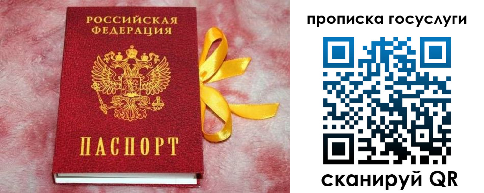 прописка законно в Торопеце